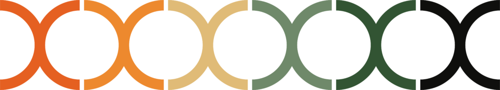 Eccera DNA colour pattern – brand identity graphic