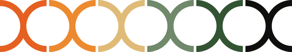 Eccera DNA colour pattern – brand identity graphic