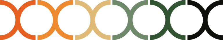 Eccera DNA colour pattern – brand identity graphic